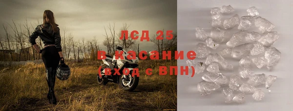 шишки Гусиноозёрск