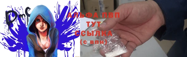 соль ск Гусев