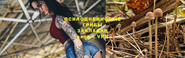 шишки Гусиноозёрск