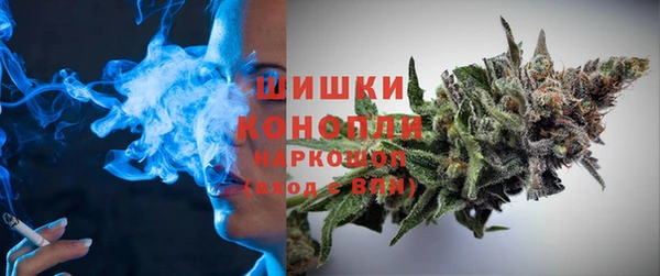 шишки Гусиноозёрск