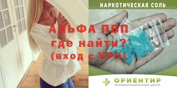 шишки Гусиноозёрск
